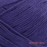 Lily Sugar N Cream Super Size Dark Orchid