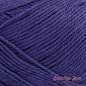 Lily Sugar N Cream Super Size Dark Orchid