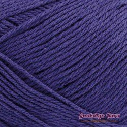 Lily Sugar N Cream Super Size Dark Orchid