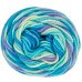 Red Heart Super Saver Pooling Stillwater