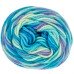 Red Heart Super Saver Pooling Stillwater