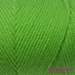 Red Heart Super Saver Spring Green