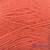 Red Heart Soft Cinnabar