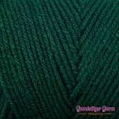 Red Heart With Love Evergreen