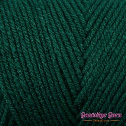 Red Heart With Love Evergreen