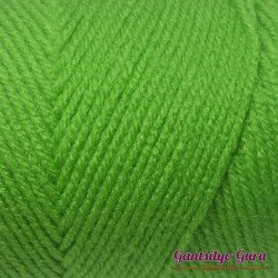 Red Heart Super Saver Spring Green